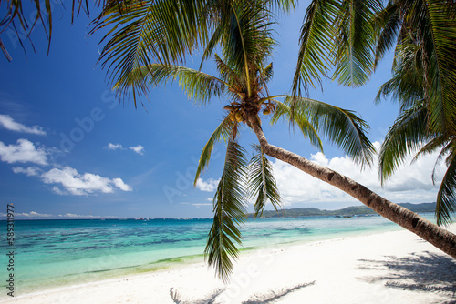 Pristine beach with palm trees  white sand and turquoise tropical sea. Travel destination