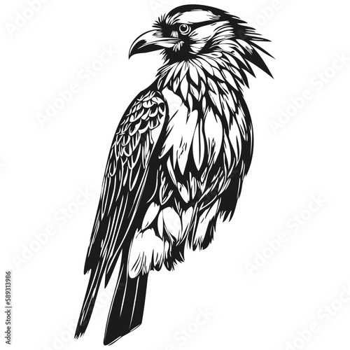 Black and white linear paint draw Raven vector illustration corbie