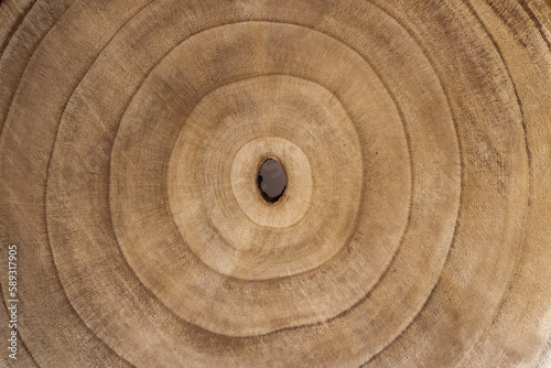 close-up Cross-section background of a tree. wooden