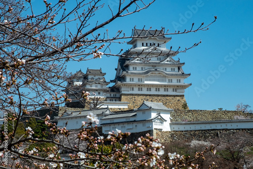 Himeji Castle  in blue sky in Himeji city  Hyogo prefecture of Japan