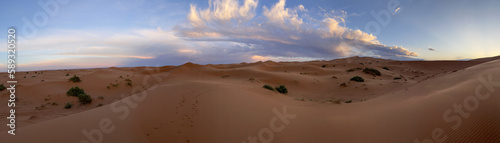 Merzouga  Morocco  Africa  panoramic view of the dunes in the Sahara desert  grains of sand forming small waves on the beautiful dunes at sunset  