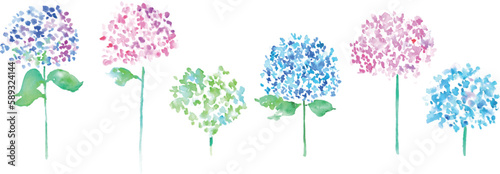水彩画。水彩タッチの紫陽花ベクターイラスト。6月の梅雨植物イラスト。Watercolor painting. Hydrangea vector illustration with watercolor touch.June rainy season botanical illustration.