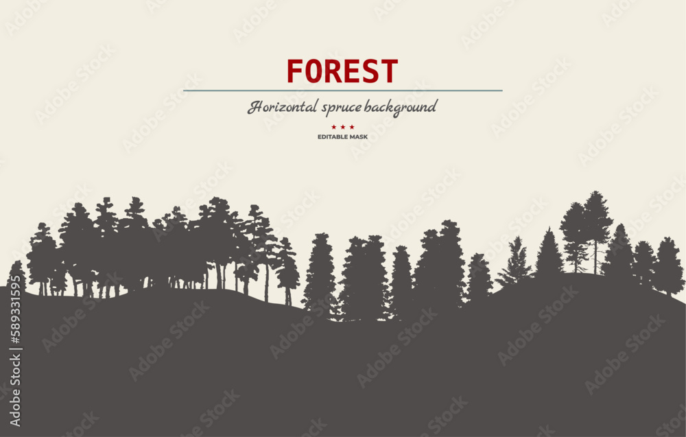 Spruce tree forest background. Spruce tree silhouette