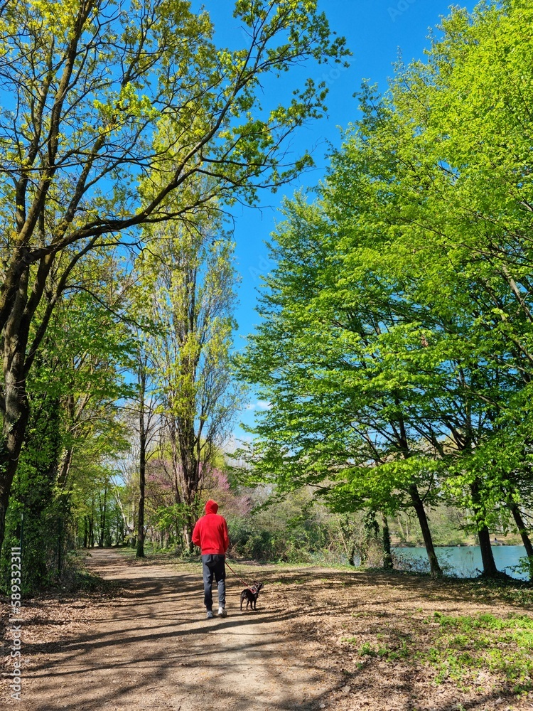 Italy, gaggiano, lago boscaccio, walk in the park with a dog