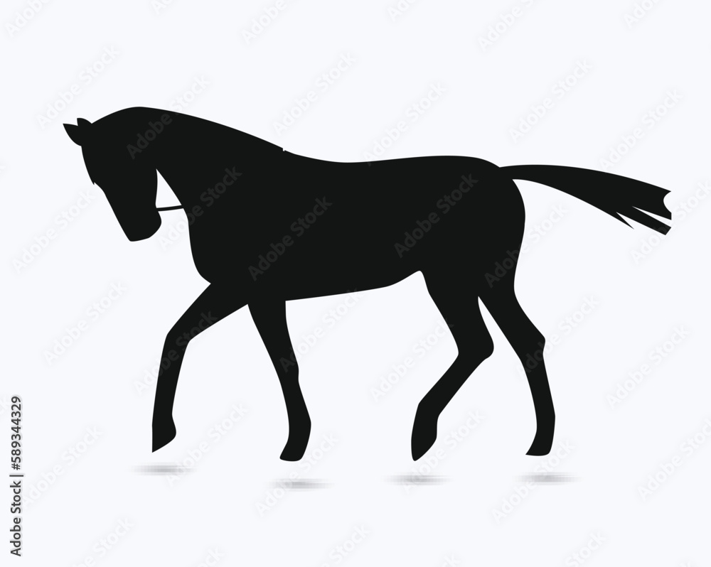Black Horse Silhouette Black Horse Silhouette