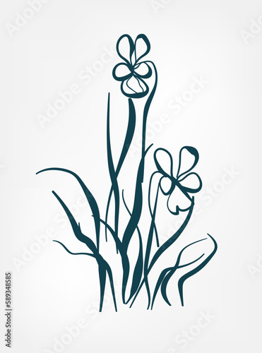 viola wild plant flower grass vector line art elegant isolated clip art isolated