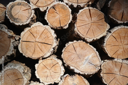 The cut logs are stacked on one side