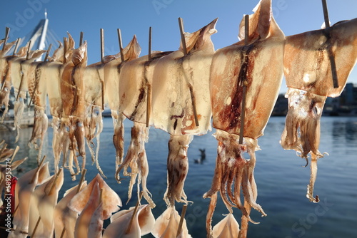 Dry the squid in the sea breeze