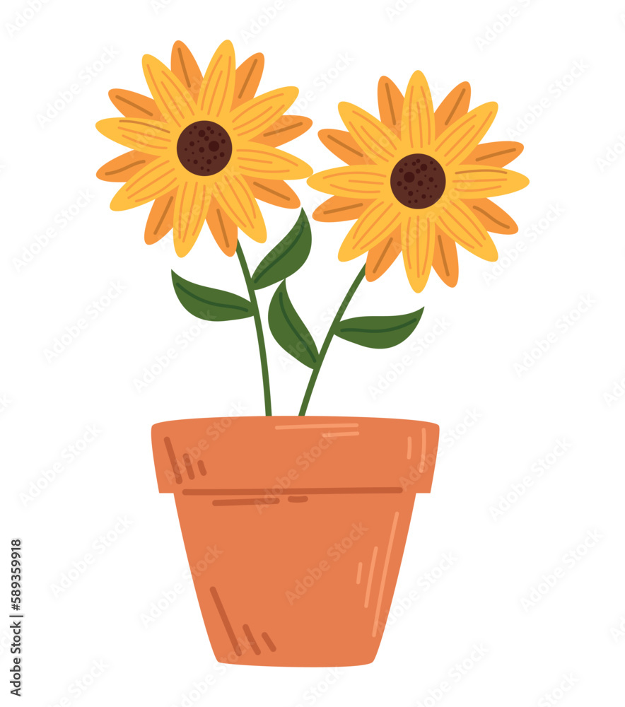 Obraz premium Flower pot with sunflower