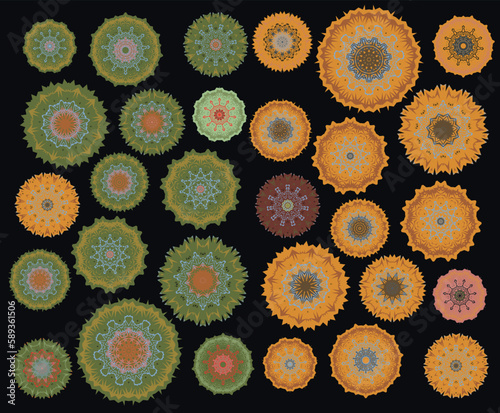 A set of different beautiful round ornaments. Vector image.