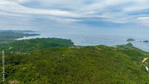 Fototapeta Naklejka Na Ścianę i Meble -  Top view of coastline of the island with jungle and beaches. Negros, Philippines