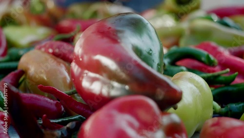 Handheld close-up of large green and red peppers being sorted on table photo