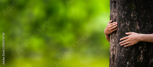 Embrace the big tree green forest in the rainy season nature conservation concept protect the environment Protection from deforestation or climate change, people hugging trees.