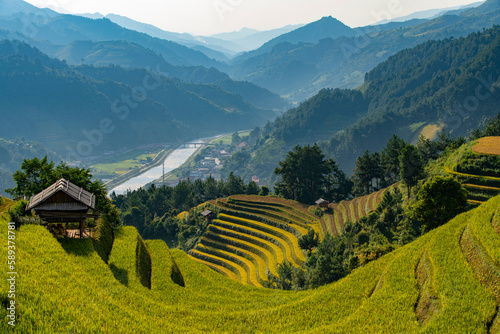 This is terraces in Mu Cang Chai, Vietnam. The ripe rize season in Mu Cang Chai is ussually from September to November. At that time, the golden rice creates a beautiful landscape and color