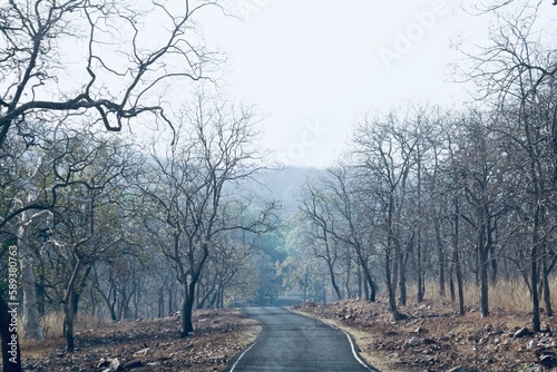 Travel and nature