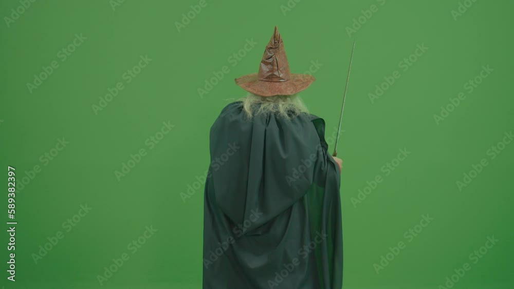 Wizard Rear View Green Screen.Back View of an Old Wizard With a Gray Beard, Dressed in a ...