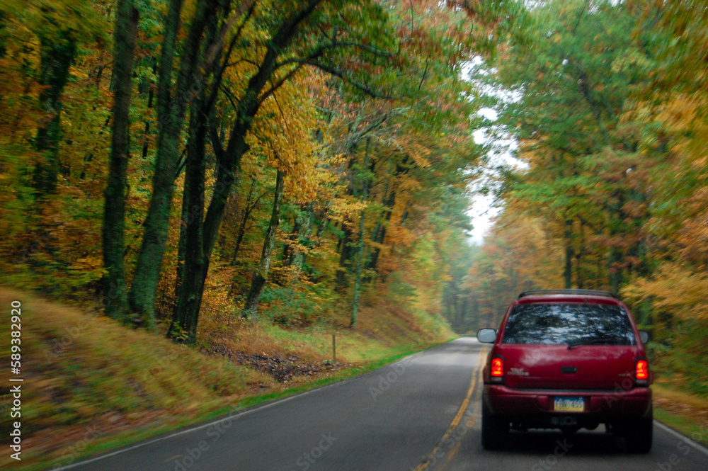 Obraz premium driving in autumn
