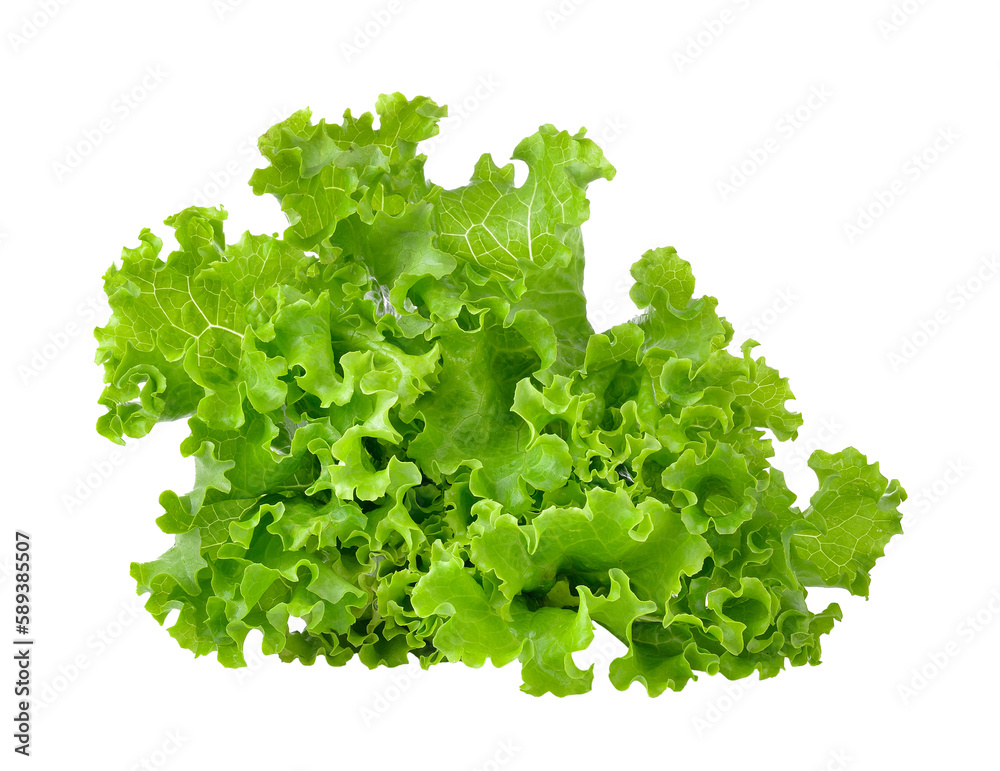 Fresh green lettuce isolated on  transparent png - obrazy, fototapety, plakaty 