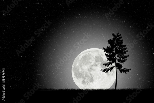 Illustration depicting a night landscape with large moon starry sky and silhouttes of trees