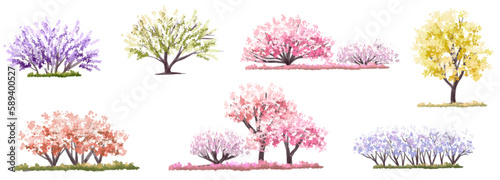 Vector watercolor blooming flower tree side view isolated on white background for landscape and architecture drawing, elements for environment and garden,botanical elements for section in spring 