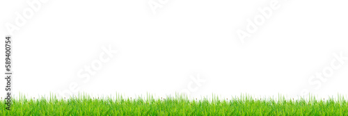 green grass on transparent background for banner background with copy space. generative AI