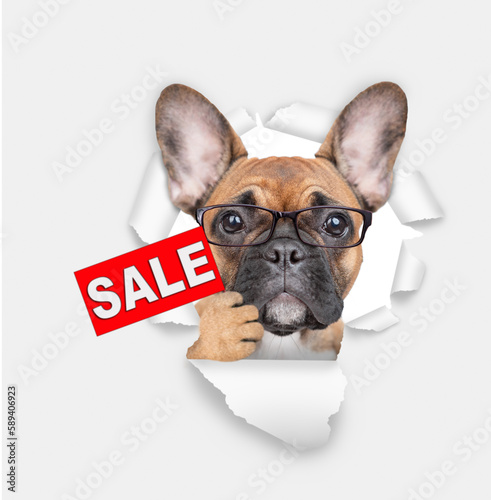 Smart French bulldog puppy wearing eyeglasses looking through hole in white paper and shows signboard with labeled "sale" © Ermolaev Alexandr