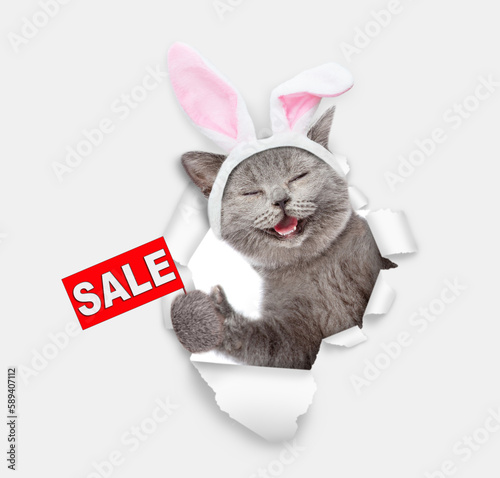 Happy cat wearing easter rabbits ears shows signboard with labeled "sale" and looks through the hole in white paper
