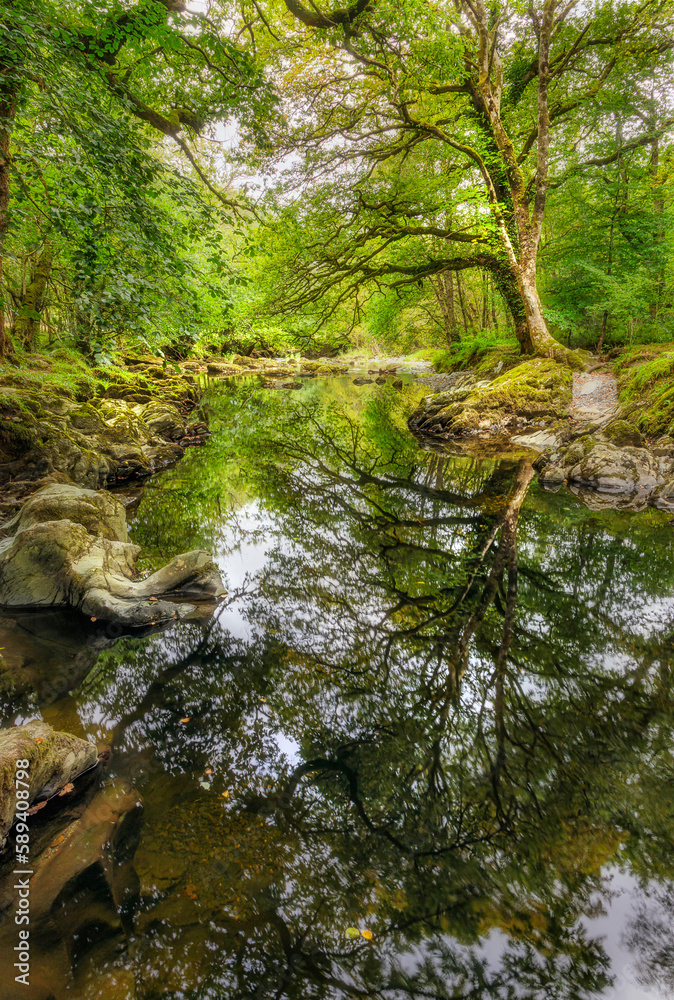 Downstream from Roman Bridge, Penmachno near Betws-y-Coed, Snowdonia, Wales, UK Downstream from Roman Bridge, Penmachno near Betws-y-Coed, Snowdonia, Wales, UK