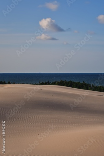 Beautiful holiday seaside landscape. Moving dunes in the desert in Slowinski National Park in Leba  Poland.