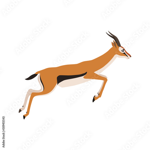 Animal illustration. Running Thomson s gazelle drawn in a flat style. Isolated object on a white background. Vector 10 EPS