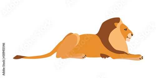 Animal illustration. Lying lion drawn in a flat style. Isolated object on a white background. Vector 10 EPS