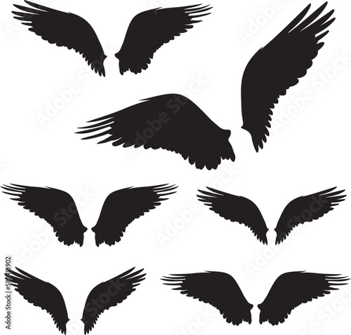 Wings with feathers. Shape. 
Vector illustration of osprey bird wings in different variations. 
Bird illustrations in vector.