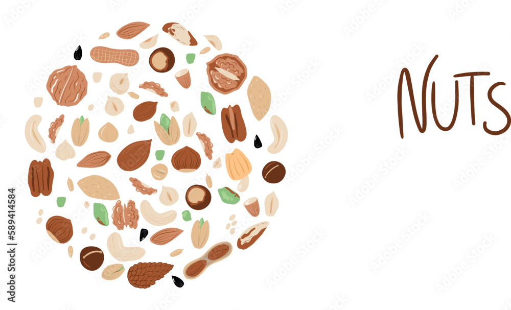 Obraz premium Big set of nuts and seeds in circle form. Various nuts isolated on white, pecan, macadamia, brazil nut, walnut, almonds, hazelnuts, pistachios, cashews, peanuts. Top view vector flat. Vector