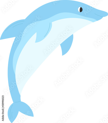 Dolphin Animal Illustration