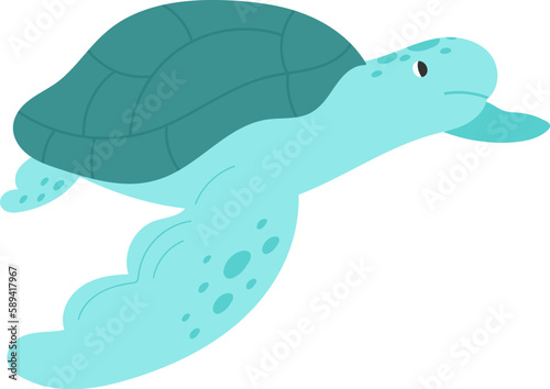 Turtle Animal Swimming