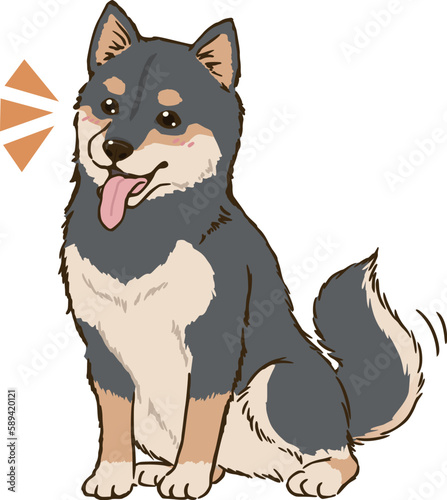 おすわりして喜ぶ柴犬（黒柴）