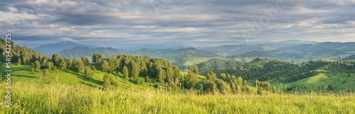 Panoramic view of a summer day in the mountains  green meadows  mountain slopes and hills  countryside