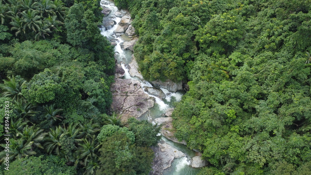 Jungle. Aerial view of a mountain river in a tropical forest. A mountain river flows through the jungle in a tropical rainforest.