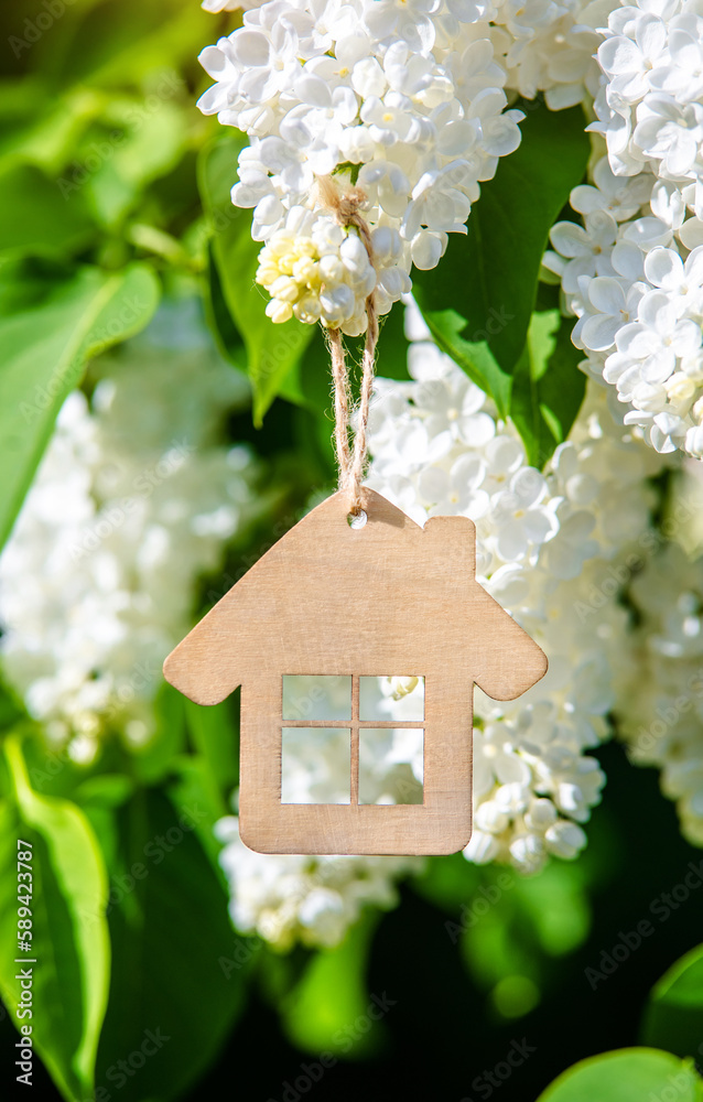 The symbol of the house among the branches of the white lilac The symbol of the house among the branches of the white lilac