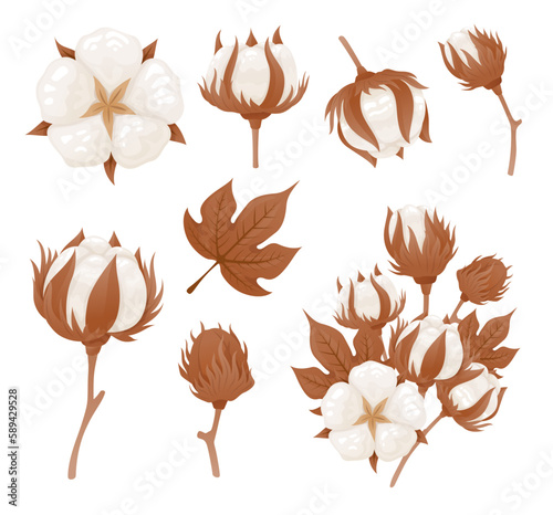 Cotton flower ball dry leaves tree branch fluffy blossom set vector illustration
