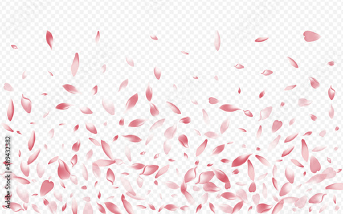 Bright Confetti Vector Transparent Background.