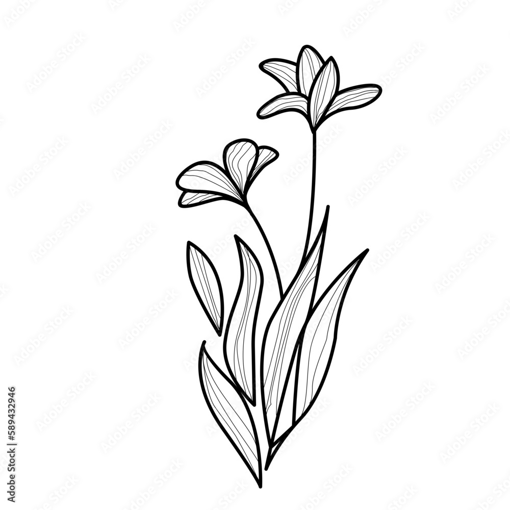 Obraz premium Boho Leaf