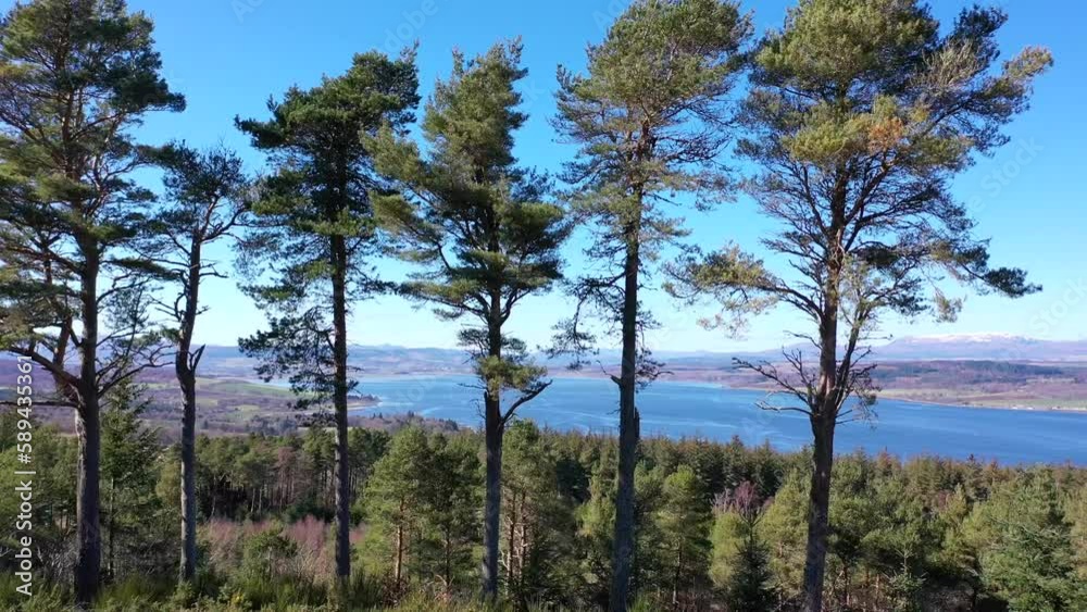 Aerial shot of distant mountains through trees in the Highlands, Scotland Aerial shot of distant mountains through trees in the Highlands, Scotland