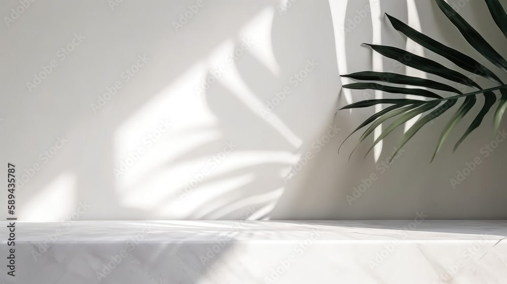 Minimal scene with white wall and nature elements