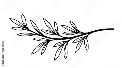 Line art branch. Part of bouquet for valentines day and wedding. Logotype, emblem and label. Botany and floristry. Nature and environment, biology. Cartoon flat vector illustration