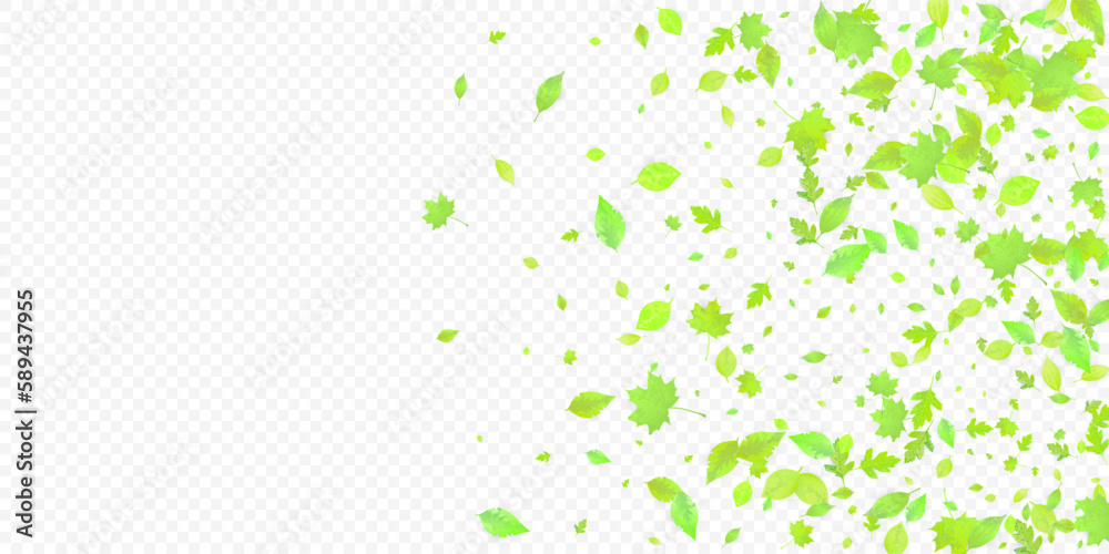 Leaves Falling Spring Flying Foliage Green Leaf