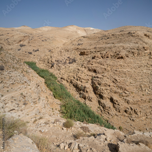 Prat Brook in the Judea Desert, Israel photo