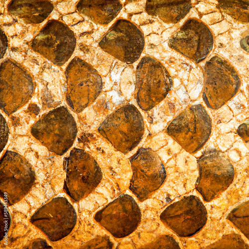 Serpent skin texture (Generative AI)