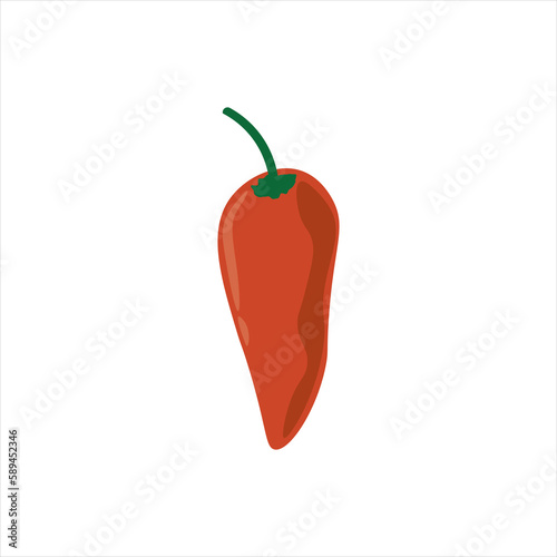Fresh Spicy Chilli Illustration