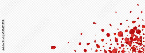 Red Rose Flying Vector Panoramic Transparent